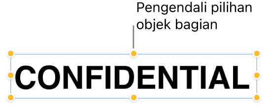 Objek dengan pengendali pilihan.