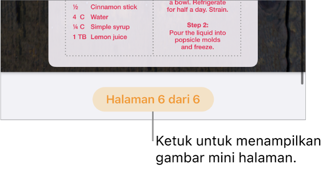 Dokumen terbuka dengan tombol jumlah halaman di tengah bawah layar.