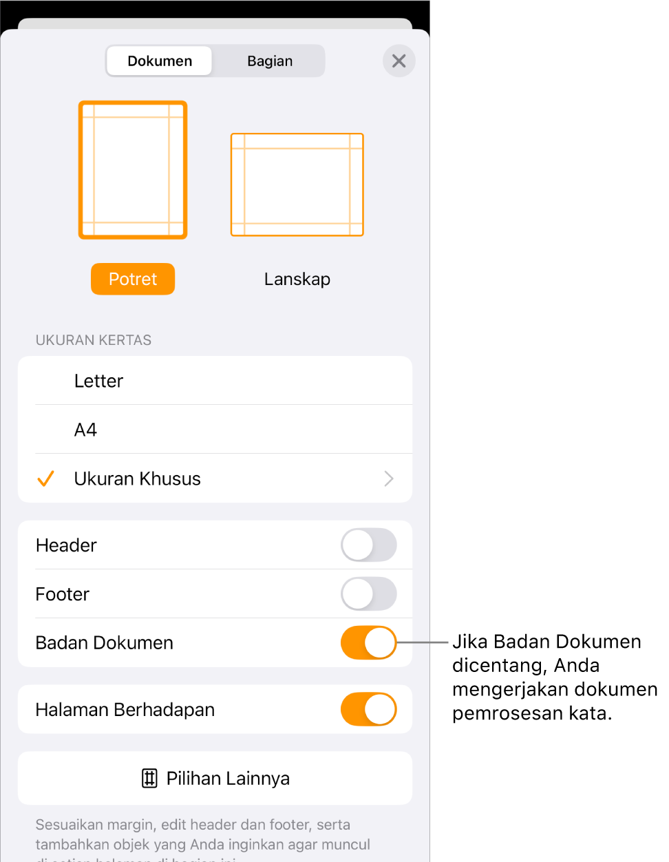 Pengaturan Dokumen terbuka dengan Badan Dokumen dicentang di dokumen pemrosesan kata.