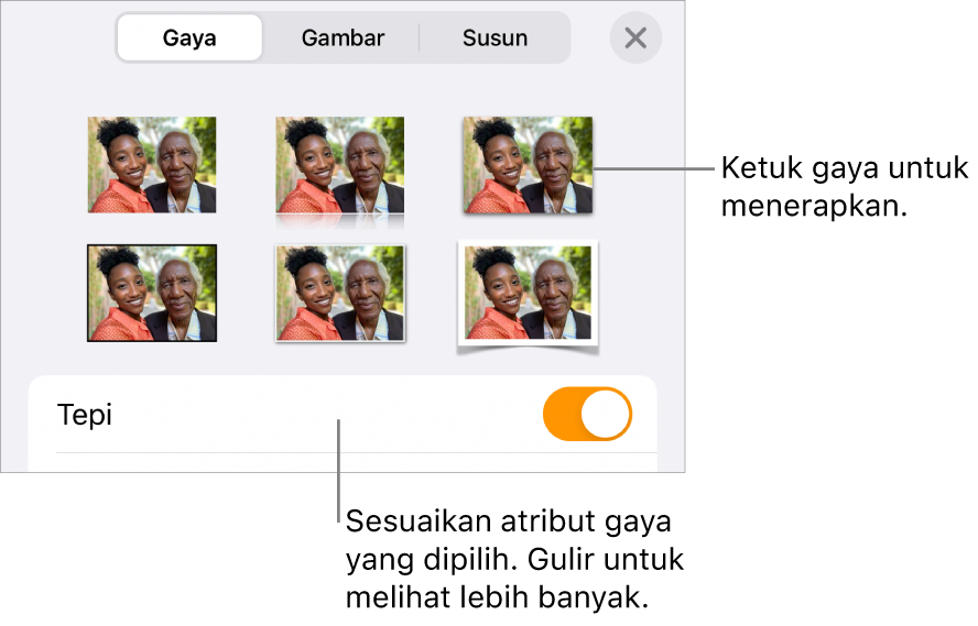 Gaya menu Format, dengan gaya objek di bagian atas dan kontrol di bawahnya untuk mengubah tepi.