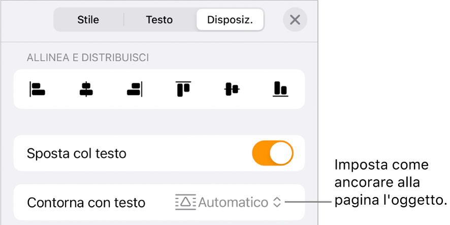 Controlli di Disposizione con “Sposta col testo” e “Disposizione testo”.