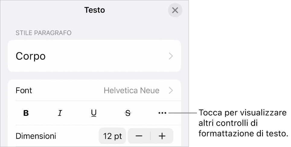 Il pannello Testo dei controlli di Formattazione con una didascalia per il pulsante “Altre opzioni di testo”.