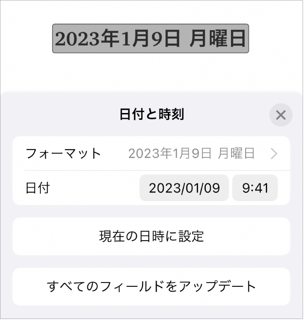 「日付と時刻」コントロール。日付の「フォーマット」のポップアップメニューと、「現在の日時に設定」ボタンおよび「すべてのフィールドをアップデート」ボタンが表示された状態。