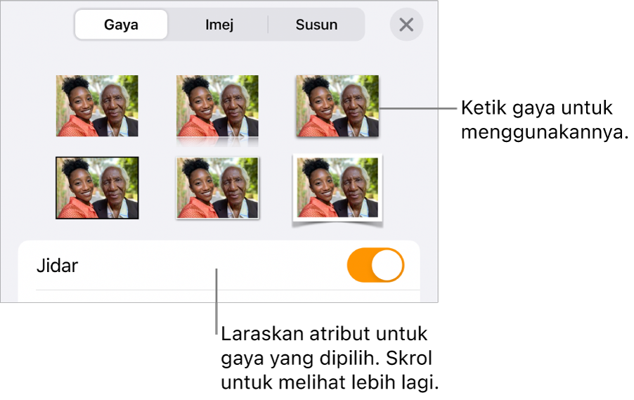 Menu Gaya Format, dengan gaya objek di bahagian atas dan kawalan di bawahnya untuk menukar jidar.