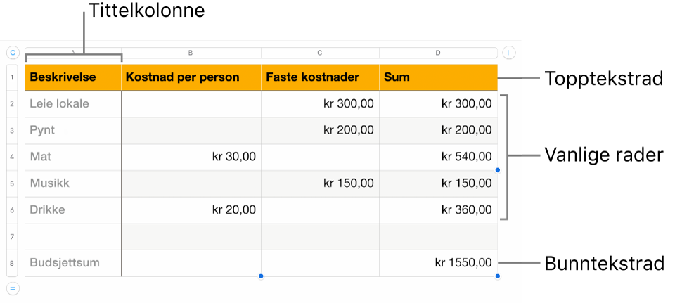 En tabell som viser tittelrader og -kolonner, vanlige rader og kolonner og bunnrader og -kolonner.