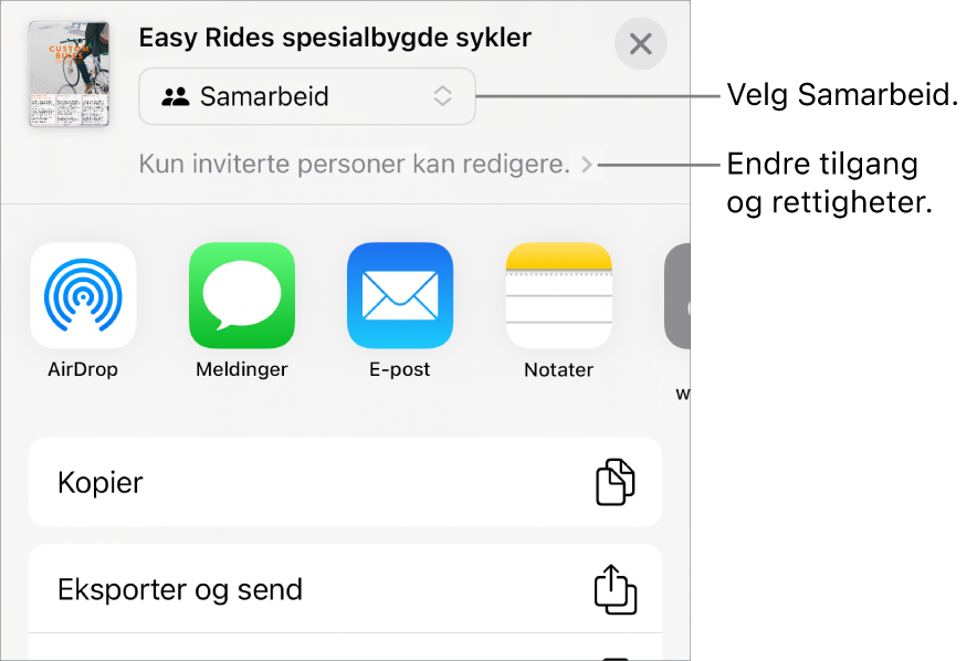 Del-menyen med Samarbeid markert øverst, og tilgangs- og tillatelsesinnstillingene under.