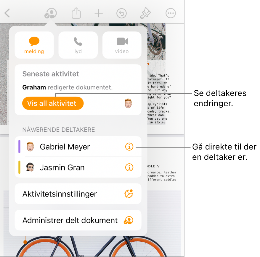 Samarbeidsmenyen, som viser gjeldende deltakere.