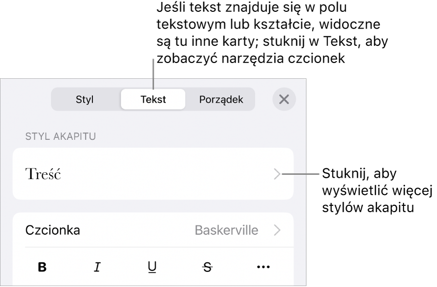 Menu Format z narzędziami tekstu pozwalającymi na ustawianie stylów akapitu, stylów znaków, czcionki, wielkości oraz koloru.