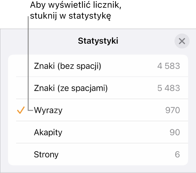 Menu Statystyki zawierające opcje pozwalające na wybranie wyświetlania liczby znaków ze spacjami i bez spacji, liczby wyrazów, liczby akapitów oraz liczby stron.