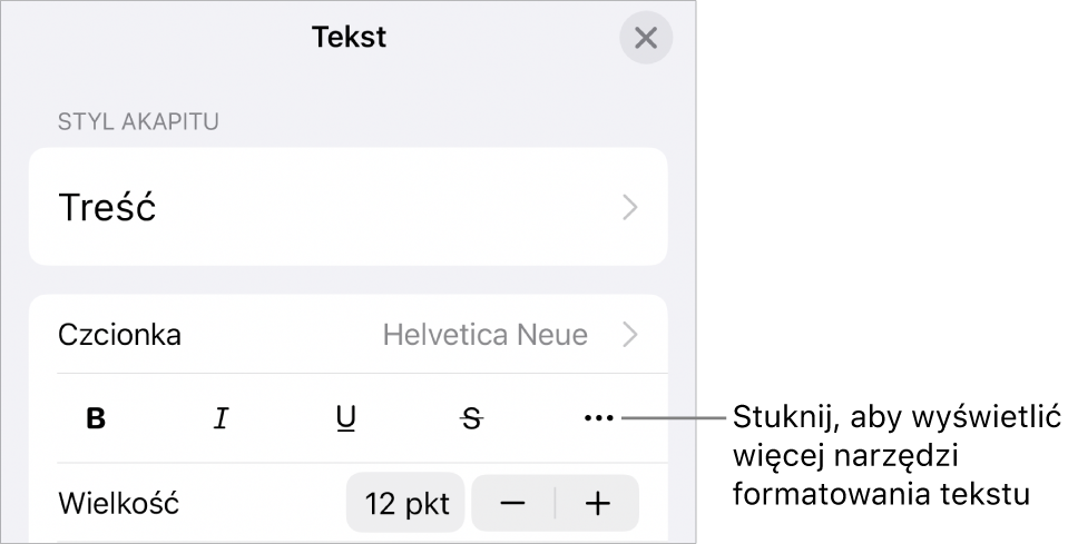 Karta Tekst w narzędziach formatowania ze wskazanym przyciskiem Więcej opcji tekstu.