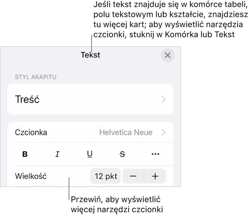 Narzędzia tekstów w menu Format służą do ustawiania stylów akapitu i znaków oraz czcionek ich wielkości i koloru.
