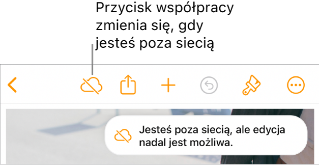 Przyciski znajdują się u góry ekranu; przycisk współpracy wyświetlany jest jako chmura przekreślona ukośną linią. Alert zawierający następującą informację: Brak połączenia z siecią, ale edycja nadal jest możliwa.