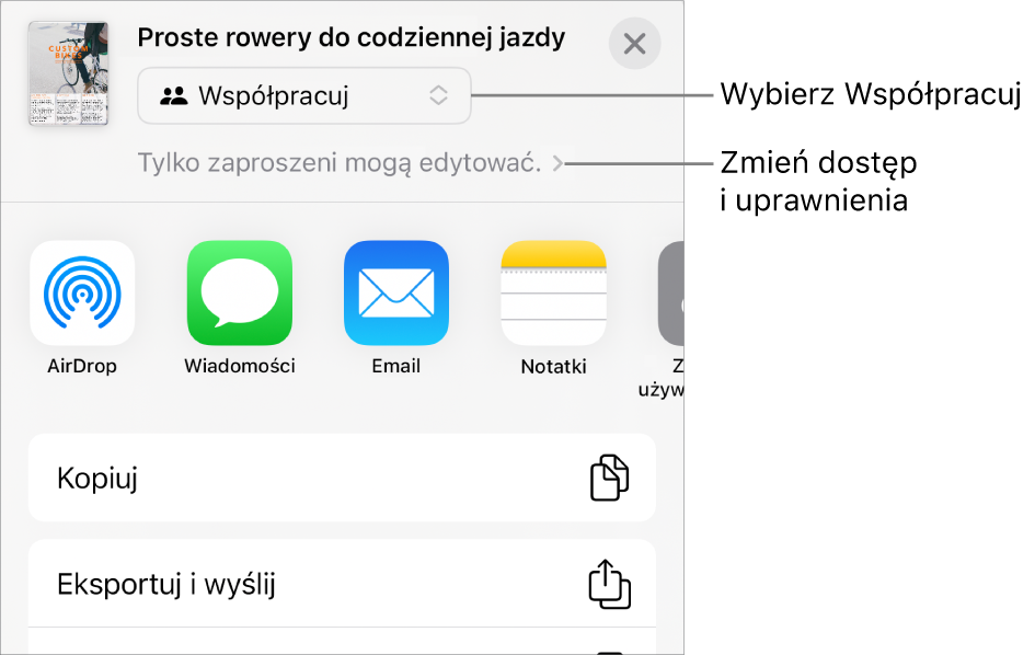 Menu udostępniania z opcją Współpracuj wybraną u góry oraz ustawieniami dostępu i uprawnień poniżej.