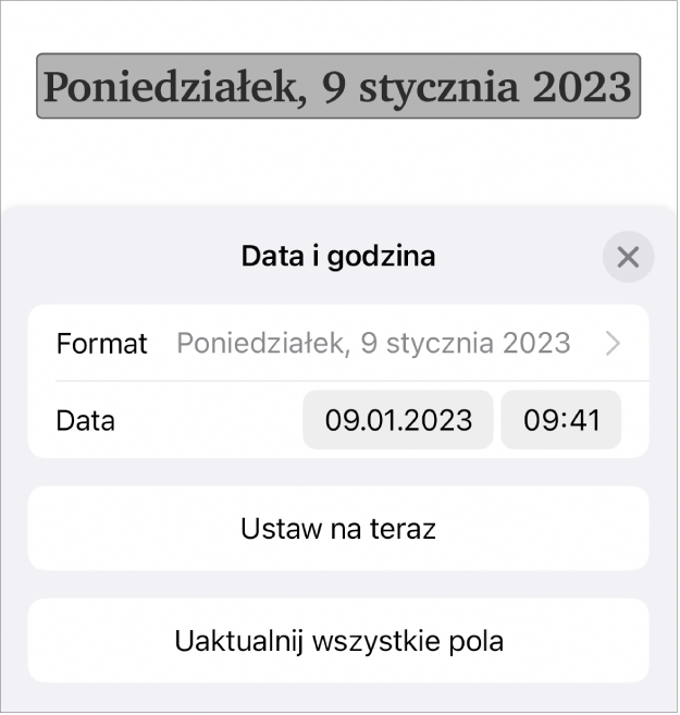 Narzędzia daty i czasu. Widoczne jest menu podręczne formatu daty i przyciski Ustaw na dzisiaj oraz Uaktualnij wszystkie pola.