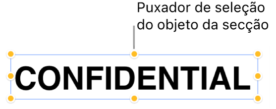Um objeto com puxadores de seleção.