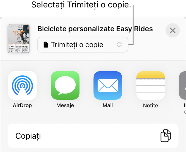Meniul Partajează, cu opțiunea Trimite o copie selectată în partea de sus.