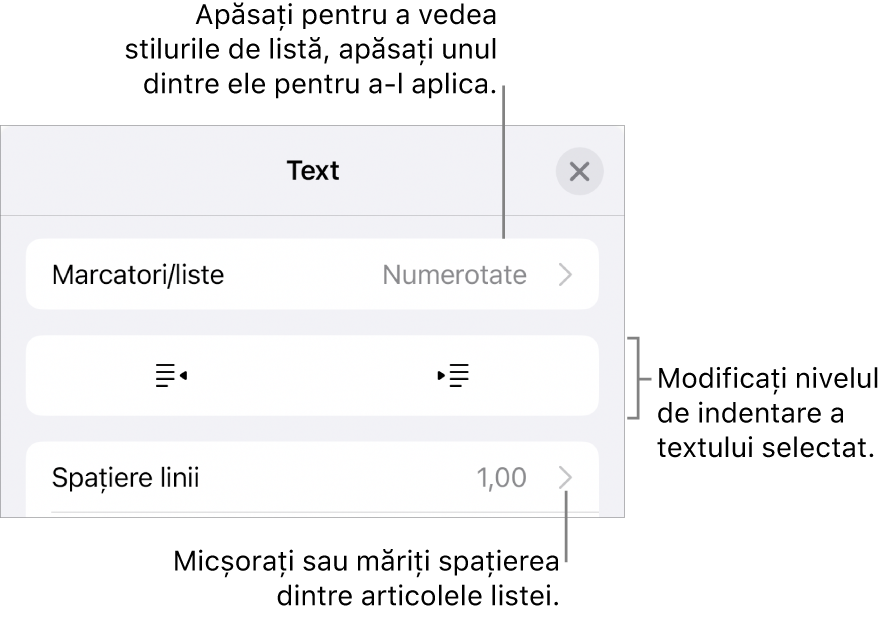 Secțiunea Marcatori/liste din comenzile Format cu explicații pentru Marcatori/liste, butoanele de indentare și indentare exterioară, precum și comenzile pentru spațierea liniilor.
