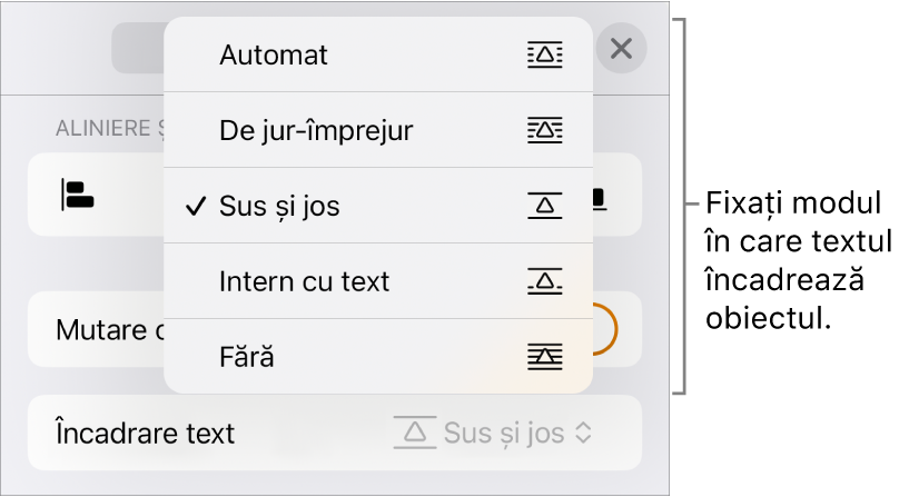 Comenzile Încadrare text cu configurări pentru Automat, De jur-împrejur, Sus și jos, Intern cu text și Nimic.