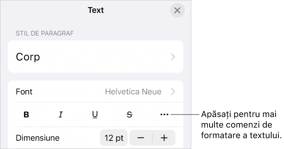 Fila Text a comenzilor Format, cu o explicație pentru butonul Alte opțiuni de text.