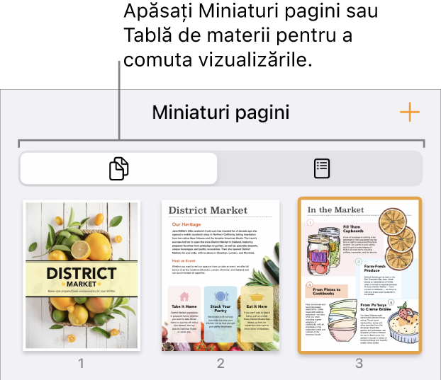 Vizualizarea Miniaturi pagini, cu imagini miniaturi pentru fiecare pagină. Butonul Miniaturi pagini și butonul Tablă de materii se află în partea de jos a ecranului.