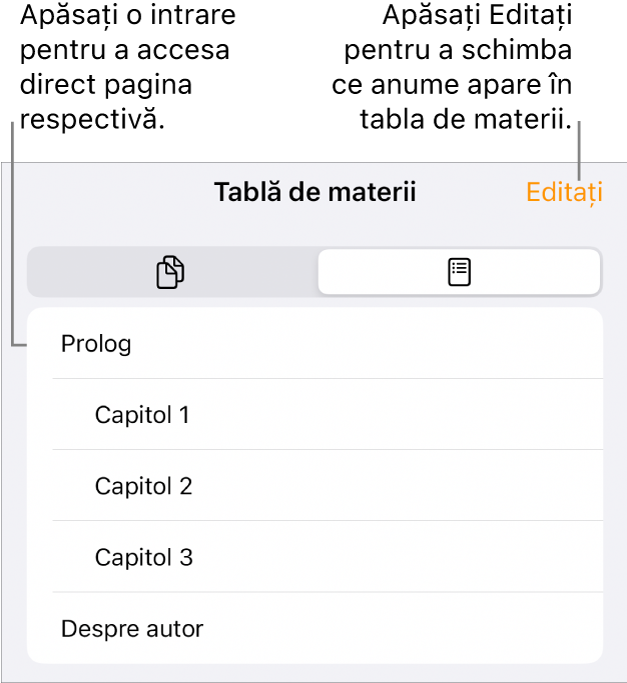 Vizualizarea tablei de materii, cu colontitlurile sub formă de listă. Un buton Editează se află în colțul dreapta sus, iar în partea de jos se află butoanele Miniaturi pagini și Tablă de materii.