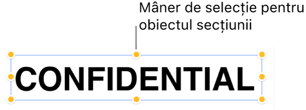 Un obiect cu mânere de selecție.
