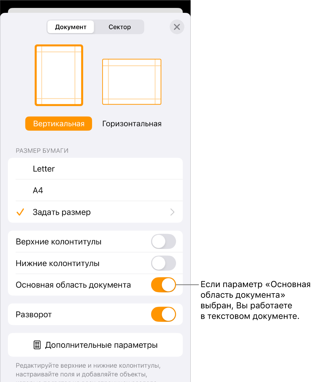 В текстовом документе открыто окно «Дизайн документа» и выбран параметр «Основная область документа».