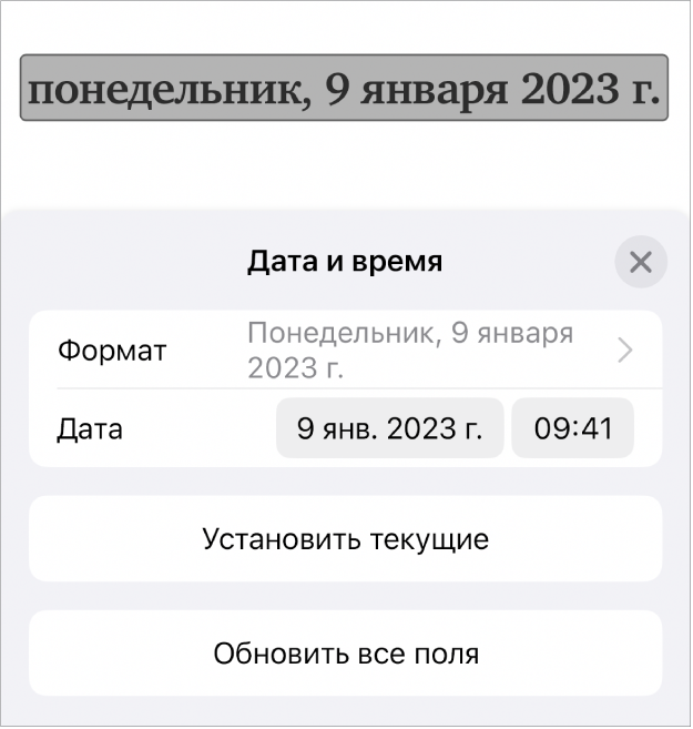 Элементы управления для параметра «Дата и время». Показано всплывающее меню форматирования даты; также показаны кнопки «Установить текущие» и «Обновить все поля».