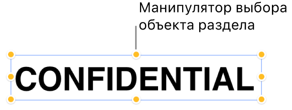 Объект с манипуляторами.