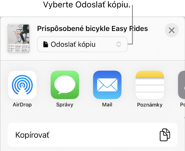 Menu Zdieľať s vybranou možnosťou Odoslať kópiu vo vrchnej časti.
