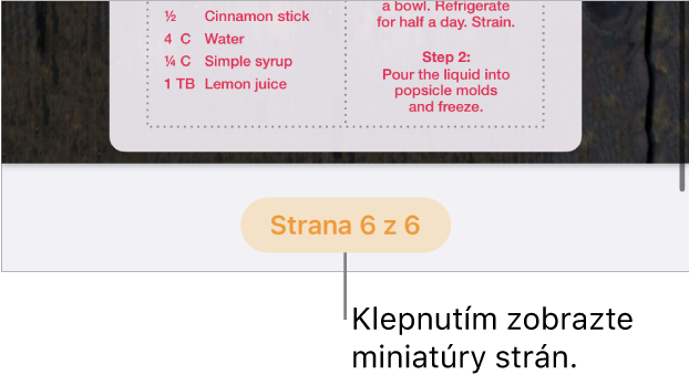 Otvorený dokument s tlačidlom počtu strán v strednej dolnej časti obrazovky.