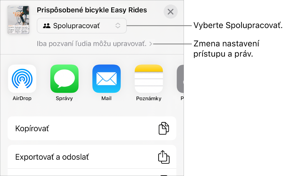 Menu Zdieľať s vybranou možnosťou Spolupracovať navrchu a pod ňou sa nachádzajú nastavenia prístupu a povolení.
