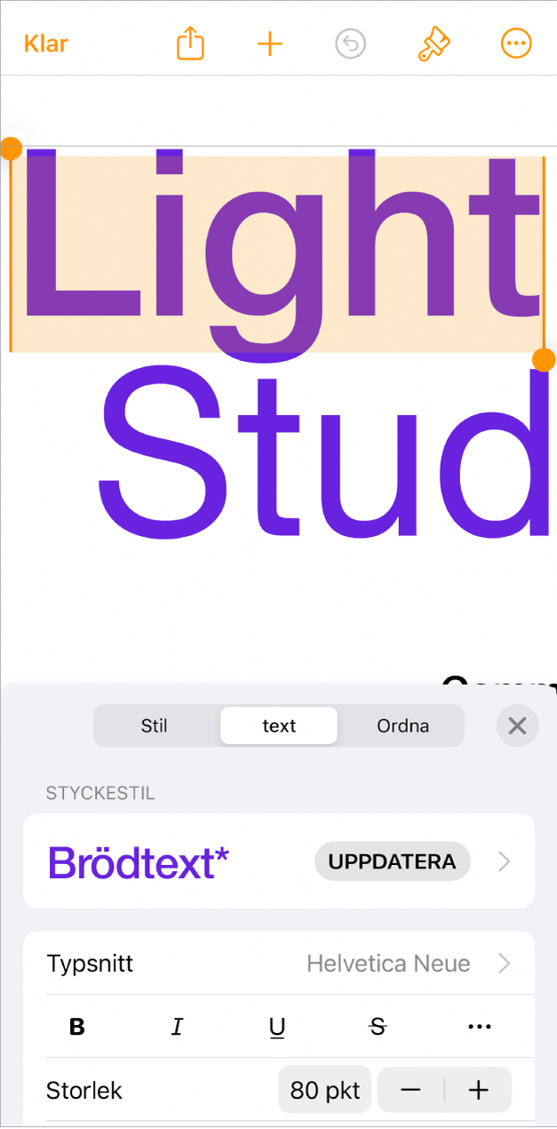 Text är markerad i ett öppet dokument och textalternativ visas längst ned.
