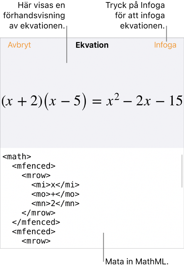 Dialogrutan Ekvation visar en ekvation som skrivits med MathML-kommandon och en förhandsvisning av formeln ovanför den.
