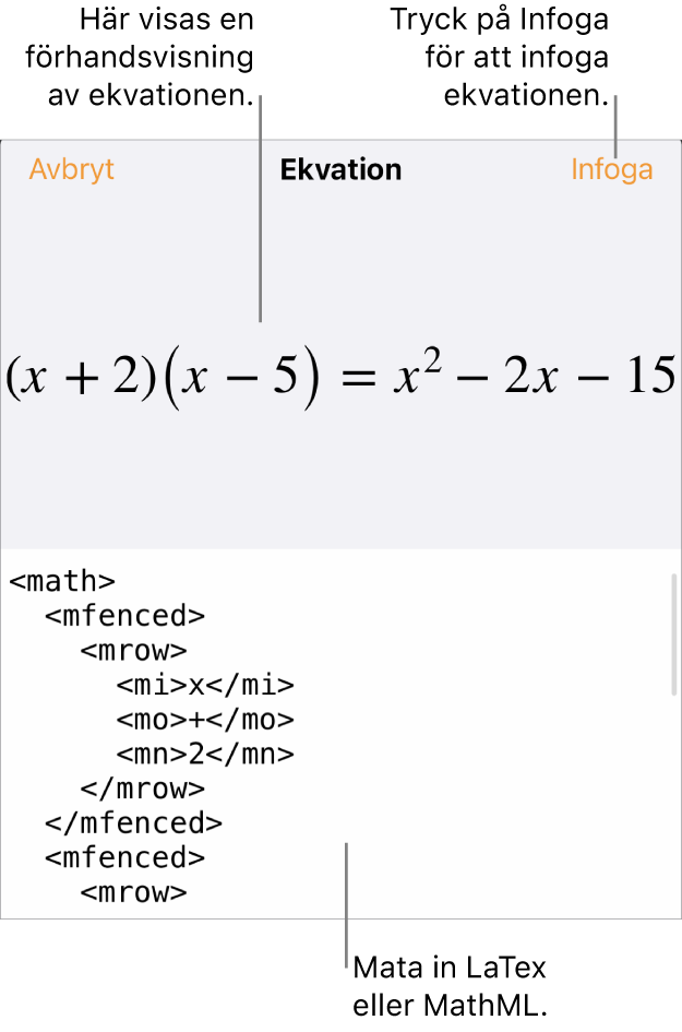 Dialogrutan Ekvation visar en ekvation som skrivits med MathML-kommandon och en förhandsvisning av formeln ovanför den.