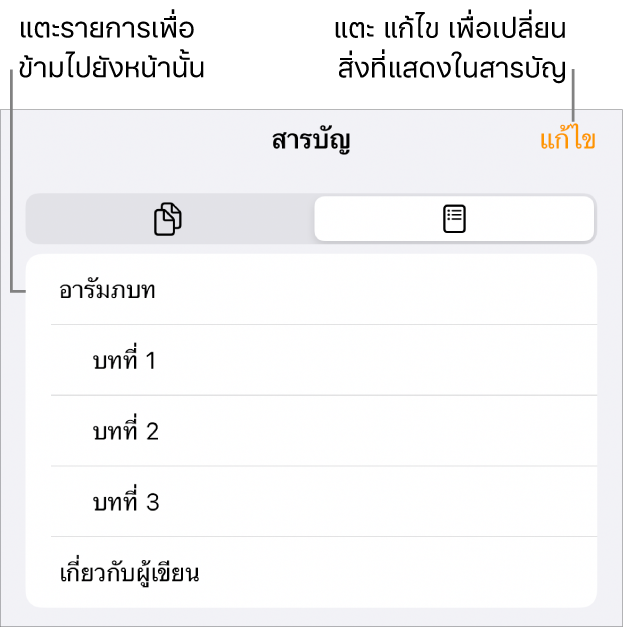 มุมมองสารบัญที่มีหัวเรื่องในรูปแบบรายการ ปุ่มแก้ไขอยู่ที่มุมขวาบนและที่ด้านล่างคือปุ่มรูปย่อของหน้าและสารบัญ