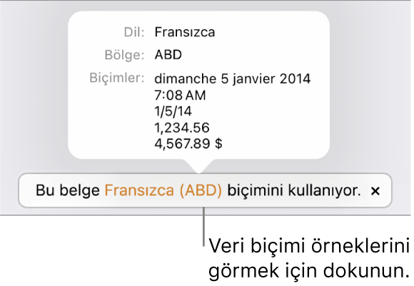 O dil ve bölgede kullanılan biçimlendirme örneklerini gösteren, farklı dil ve bölge ayarı bildirimi.
