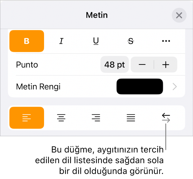 Sağdan Sola düğmesini gösteren bir belirtme çizgisi ile Biçim menüsündeki metin denetimleri.