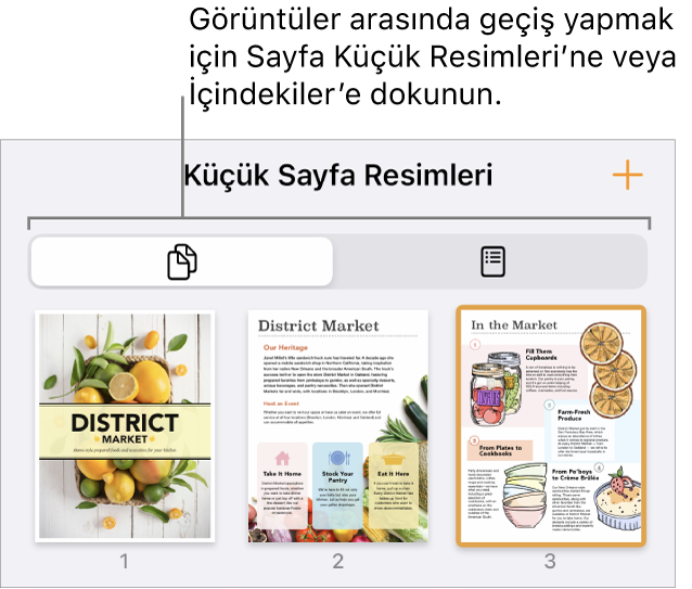 Her bir sayfanın küçük resim görüntüsü ile Sayfa Küçük Resimleri görüntüsü. Sayfa Küçük Resimleri düğmesi ve İçindekiler düğmesi ekranın en altındadır.