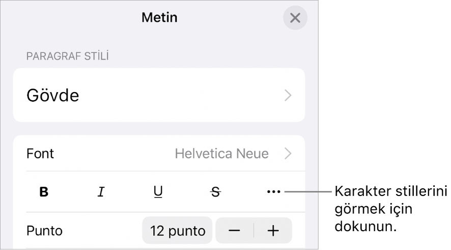 Kalın, İtalik, Altı Çizgili, Üstü Çizgili ve Daha Fazla Metin Seçeneği düğmeleri ile Biçim denetimleri.