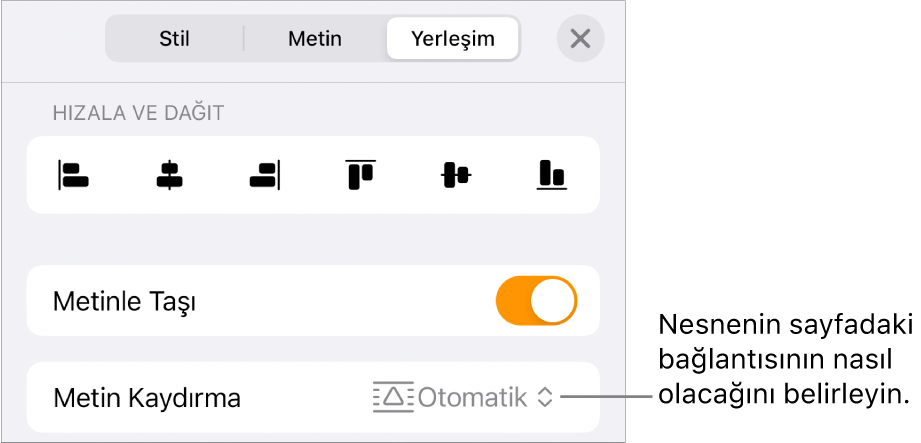 Metinle Taşı ve Metin Kaydırma’yı içeren Yerleştir denetimleri.
