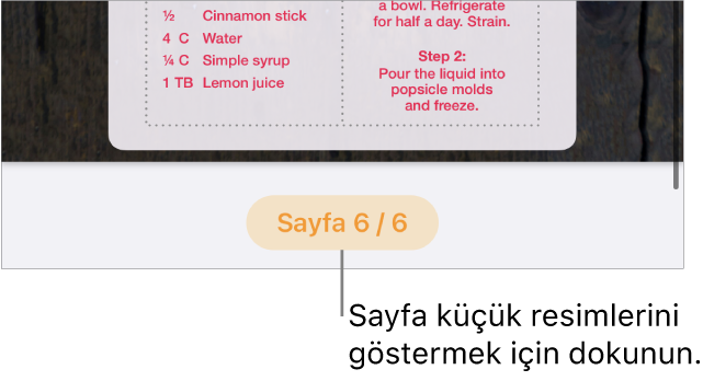 Ekranın alt ortasında sayfa numarası düğmesi açık bir belge.