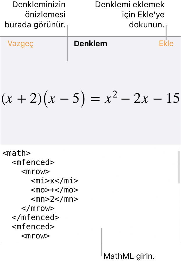 MathML komutları kullanılarak yazılmış bir denklemi ve onun üstünde formülün önizlemesini gösteren Denklem sorgu kutusu.