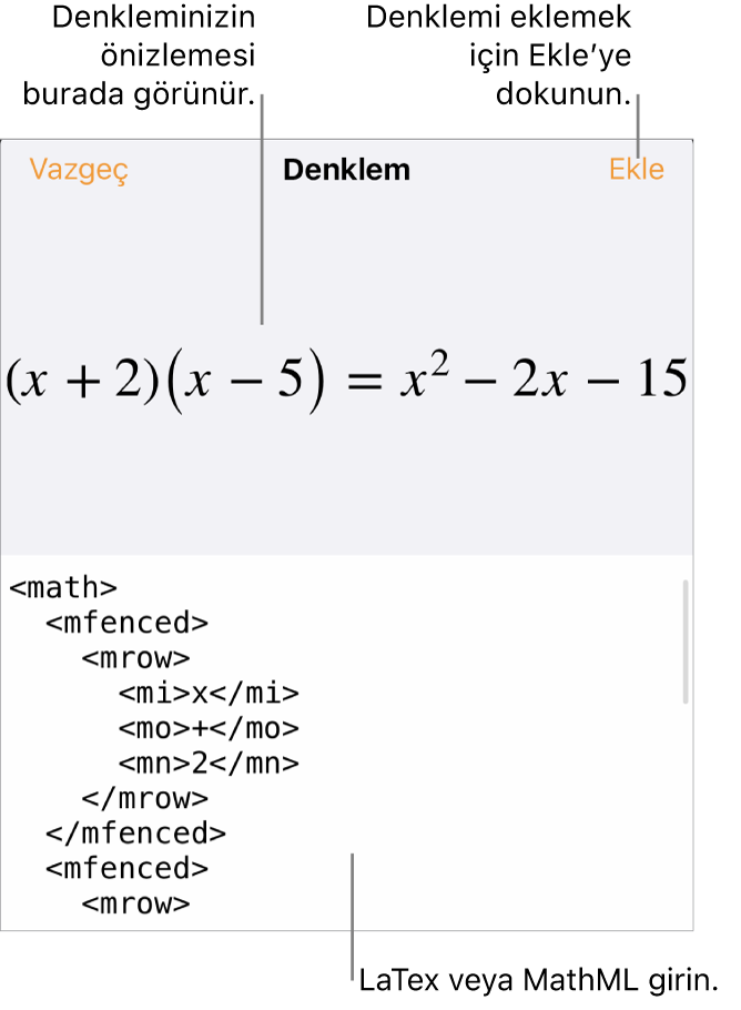 MathML komutları kullanılarak yazılmış bir denklemi ve onun üstünde formülün önizlemesini gösteren Denklem sorgu kutusu.