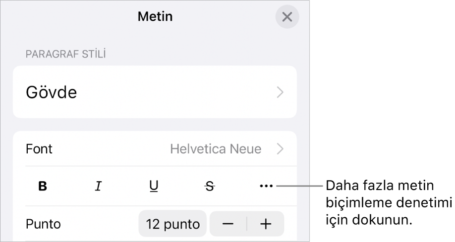 Biçim denetimlerinin Metin sekmesi, Daha Fazla Metin Seçeneği düğmesinin belirtme çizgisi ile birlikte.