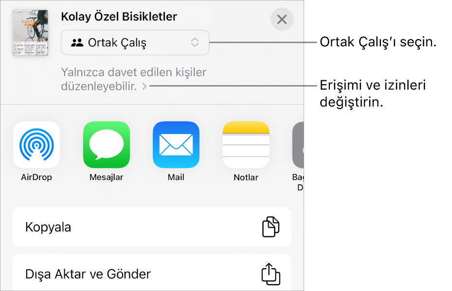 En üstte Ortak Çalış seçili olan Paylaş menüsü ve altında erişim ve izin ayarları.