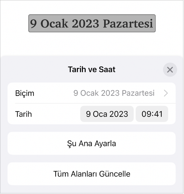 Tarih Biçimi açılır menüsünü, Şu Ana Ayarla düğmesini ve Tüm Alanları Güncelle düğmesini gösteren Tarih ve Saat denetimleri.