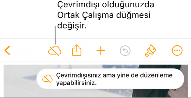 Ekranın en üstündeki düğmeler; Ortak Çalışma düğmesi, üzerinde çapraz bir çizgi olan bir buluta değişmiş. Ekrandaki bir uyarı “Çevrimdışısınız ama yine de düzenleyebilirsiniz” der.