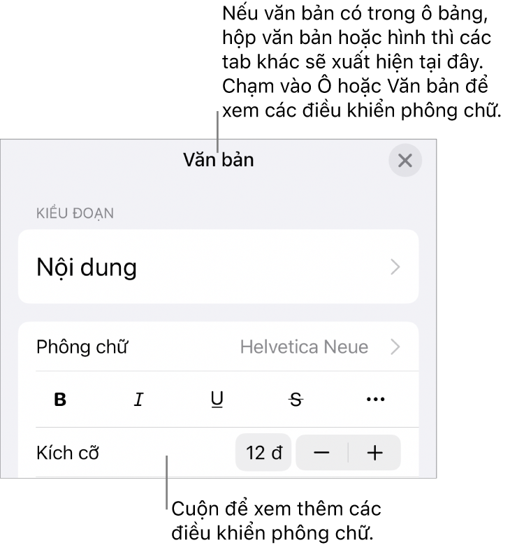 Các điều khiển văn bản trong menu Định dạng để đặt kiểu, phông chữ, kích cỡ và màu của đoạn và ký tự.