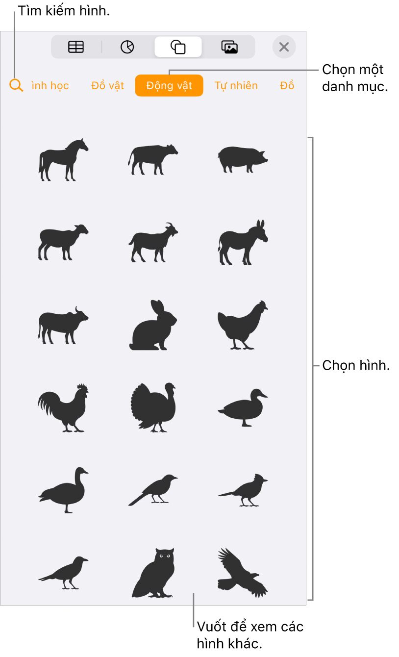 Thư viện hình dạng, với các danh mục ở trên cùng và các hình được hiển thị ở bên dưới. Bạn có thể sử dụng nút tìm kiếm ở trên cùng để tìm các hình và vuốt để xem thêm.